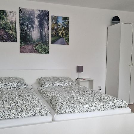 فندق Waldbergperle Ernsbach Forchtenberg المظهر الخارجي الصورة